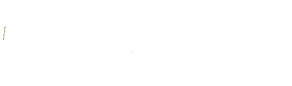 Harlekin1